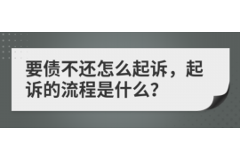 赞皇专业讨债公司有哪些核心服务？